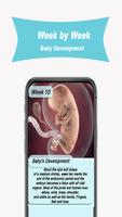 Due Date Calculator Pregnancy imagem de tela 2