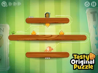 TripTrap APK download