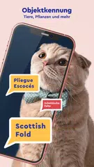 Duff Translate, Cam-Übersetzer XAPK Herunterladen