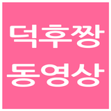 덕후짱 동영상 APK
