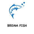 bream fish