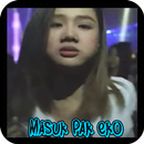 Dj Masuk Pak Eko Mp3 Offline APK