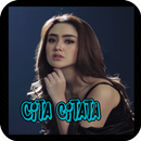 Goyang Dumang Cita Citata Remix Offline APK