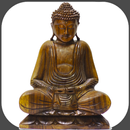 APK Buddhism - Lessons - Conferences