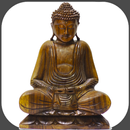 Buddhism - Lessons - Conferences APK