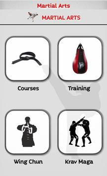 Martial Arts 海报