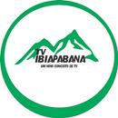 Tv Ibiapabana APK