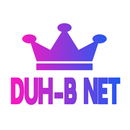 DUH B NET 4G APK