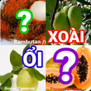 đoán tên trái cây tiếng việt APK