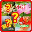đoán tên các loài hoa APK