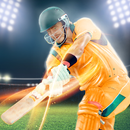 ligue de cricket indienne 2019: 12ème coupe du APK