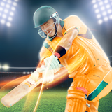 ligue de cricket indienne 2019: 12ème coupe du icône