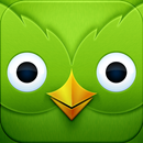 Duo Lingo Guide Languages APK