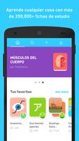 TinyCards de Duolingo: Aprende jugando, ¡gratis! Poster