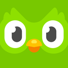 Ucz się języków z Duolingo ikona