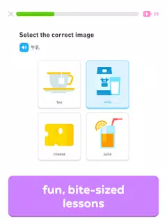 Duolingo: Language Lessons