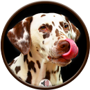 Dog Sounds APK
