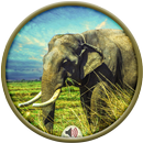 Elephant Sounds APK