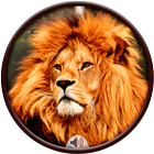 Lion Sounds icon