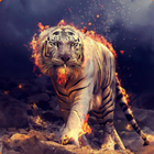 +30000 Fantasy Wallpaper icon
