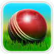 Cricket 3D