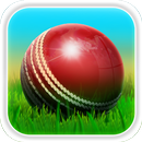 Cricket 3D APK