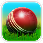 Cricket 3D icône