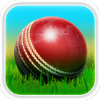 Cricket 3D biểu tượng