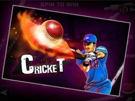 برنامه‌نما Cricket 3D عکس از صفحه