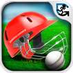 Slog Cricket