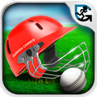 Slog Cricket ikon