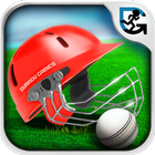ikon Slog Cricket