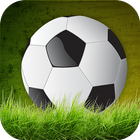 Soccer Championship 3D أيقونة