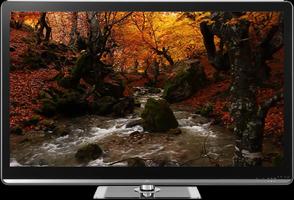 Waterfalls on TV - Chromecast ภาพหน้าจอ 1