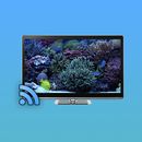 Aquariums on TV via Chromecast aplikacja