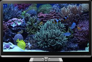 Aquariums on TV via Chromecast capture d'écran 1