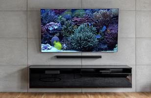 Aquariums on TV via Chromecast Affiche