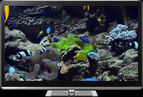 Aquariums on TV via Chromecast capture d'écran 2