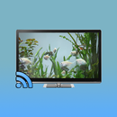 Fish Tank on TV via Chromecast aplikacja