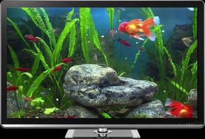 Goldfish Aquarium on TV plakat
