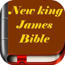 Bible King James Free APK