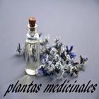 Icona Plantas Medicinales Gratis