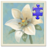 Inner Garden: Winter Garden