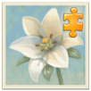 Inner Garden: Autumn APK