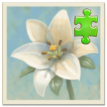 Inner Garden: Desert Garden