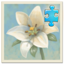 Inner Garden: Flower Garden 1 APK