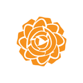 Dutch Rose