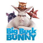 Big Buck Bunny Movie App 아이콘