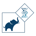 DVIPA CARE - ONCOLOGY IRA