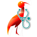 Dr Lalbok